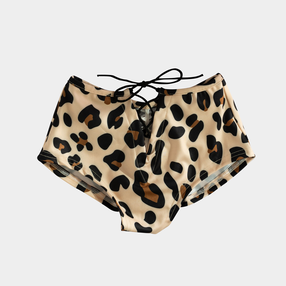 OLGA-set-Leopard-02